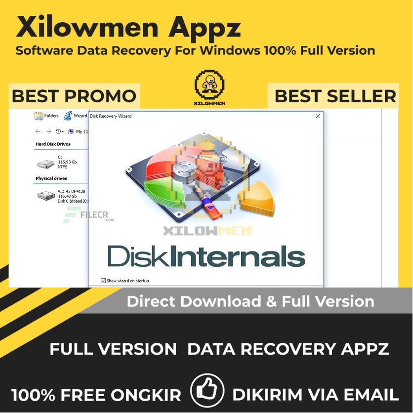 [Full Version] DiskInternals FAT Recovery Pro Lifetime Data Recovery WIN OS