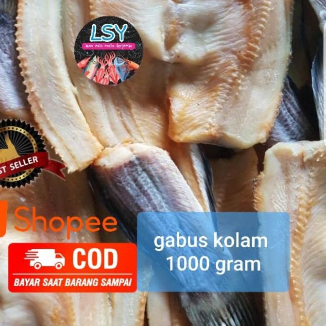 

➶ ikan asin gabus kolam size besar 1kg ➼