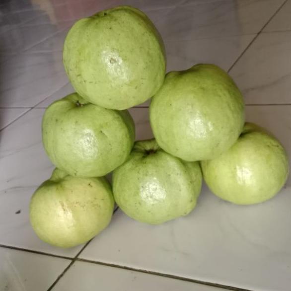 

X97 1kg jambu Cristal non biji SPECIAL PRICE ¢