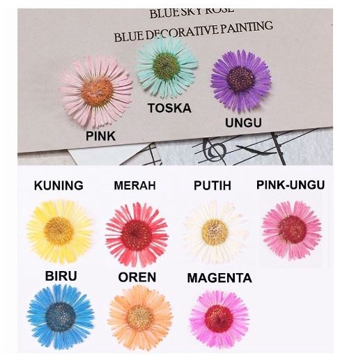 Chrysan Dried Flower - Bunga Krisan Kering (1pc)