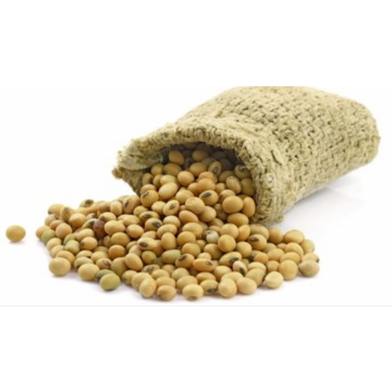 

Soy Bean/ soya / biji kacang kedelai 1000gr