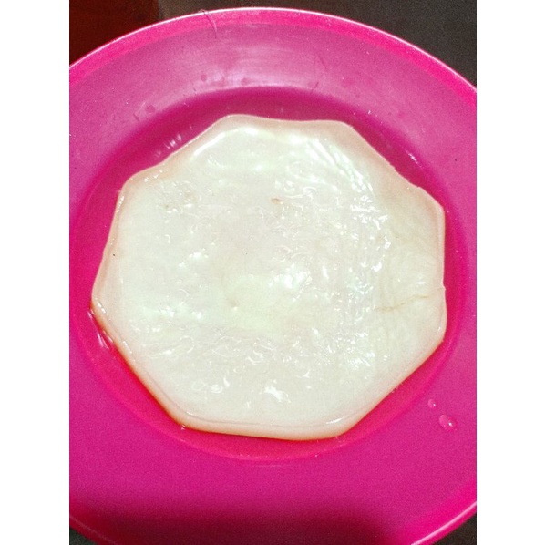 

Scoby kombucha jumbo / Bibit scoby kombucha