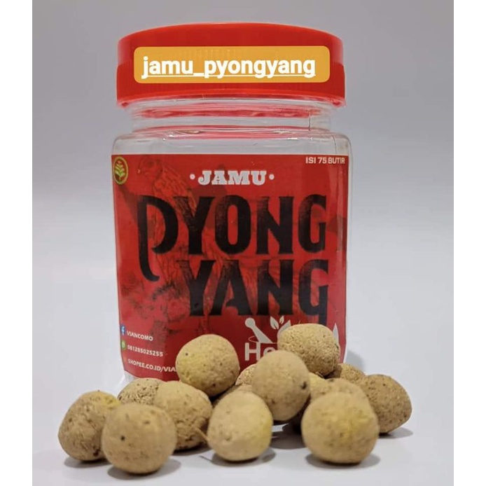 JAMU AYAM ADUAN TERMURAH DAN TERBAIK JAMU PYONGYANG