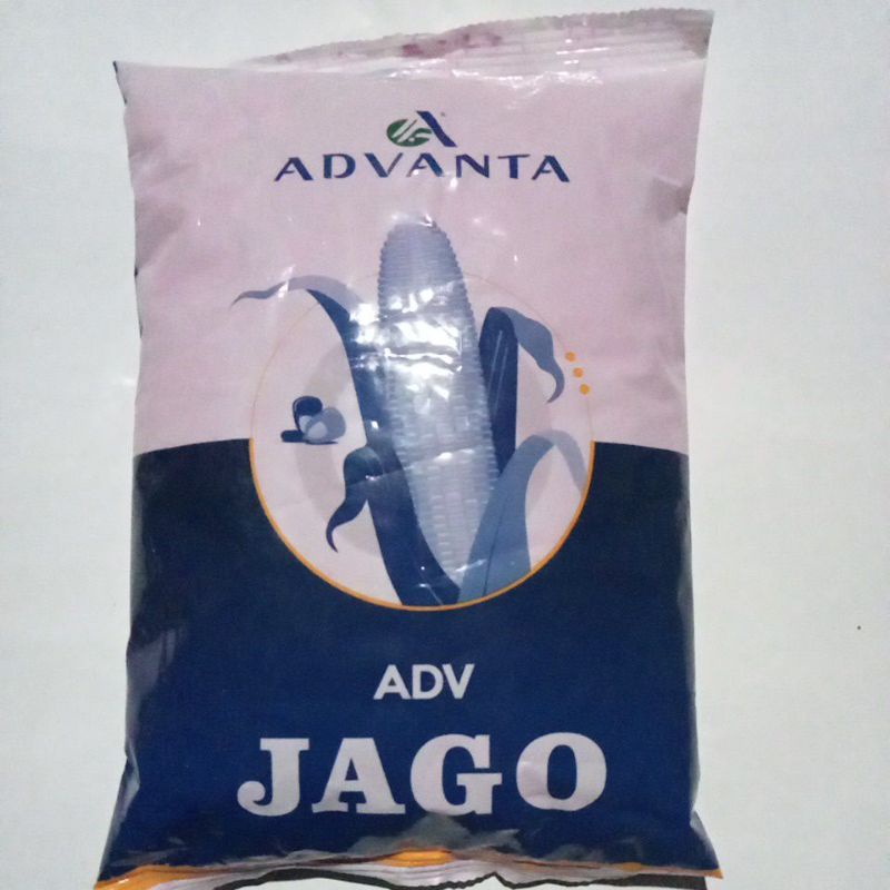 Benih Jagung ADV JAGO