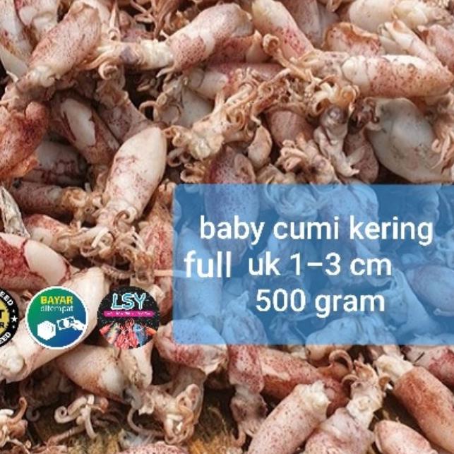

♞ ikan asin baby cumi / cumi rebus kering full 500gr ✲