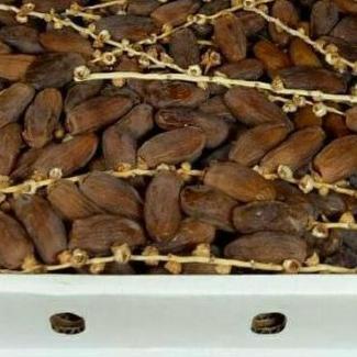 

➲ Kurma fruit Tunisia tangkai ukuran 1kg exp2024 ♩