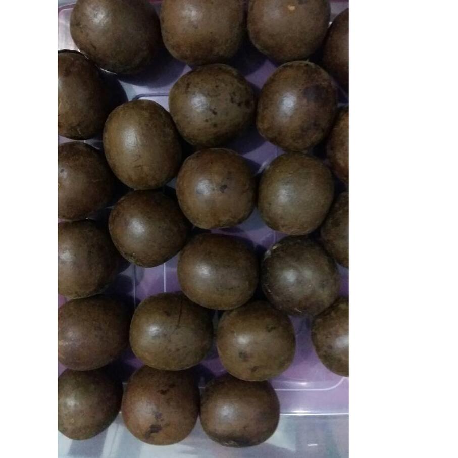 

☉ BUAH LO HAN KUO / LOHANKUO ISI 10 BUAH ♜