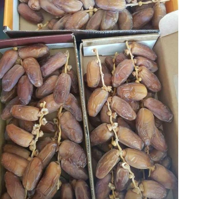 

✷ KURMA TANGKAI EL RIAD DATES 500gr/ TUNISIA TANGKAI ☪