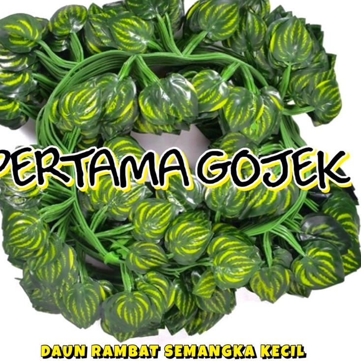 ♟ Harga Lusinan Rambat Kecil/ Daun Rambat Plastik/ Bunga Plastik/ Rumput Plastik/ Bunga Artificial/ 