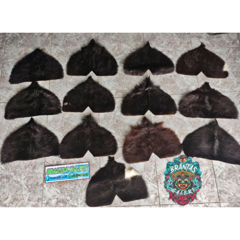 Simbar barongan/alis Barongan uk 21/24