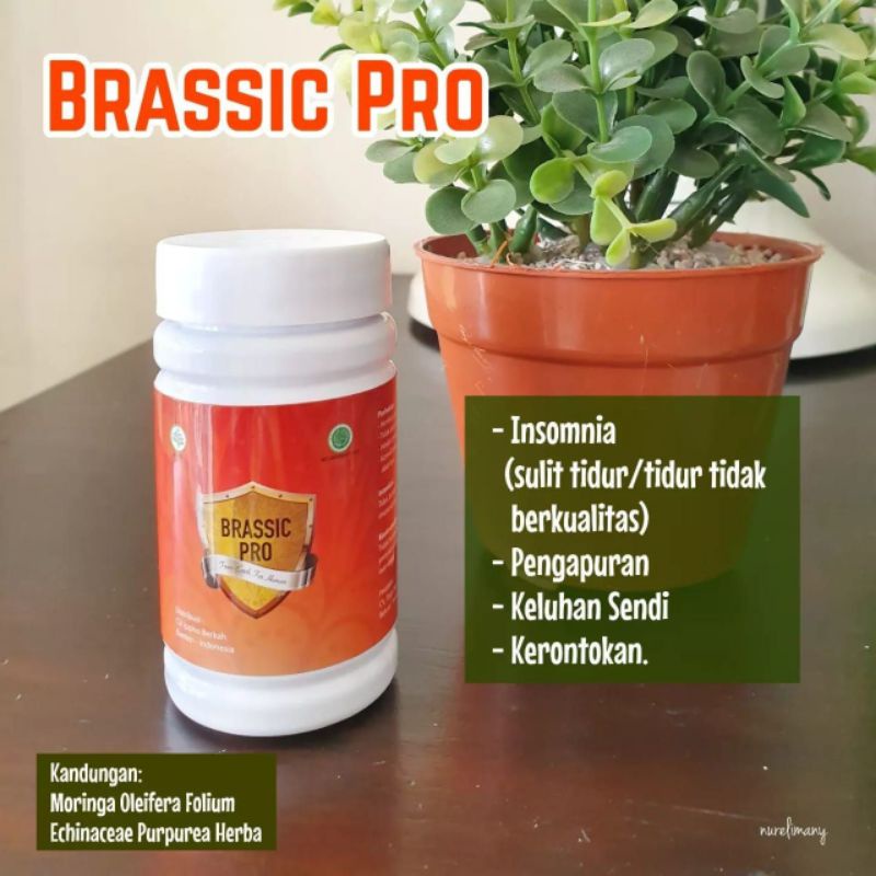 Brassic Pro