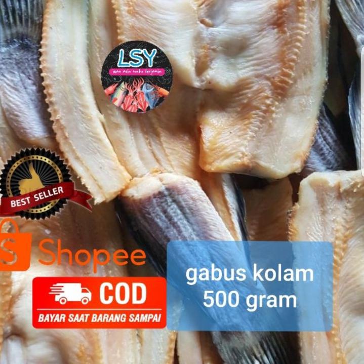 

♖ ikan asin gabus kolam size besar 500gr ✤