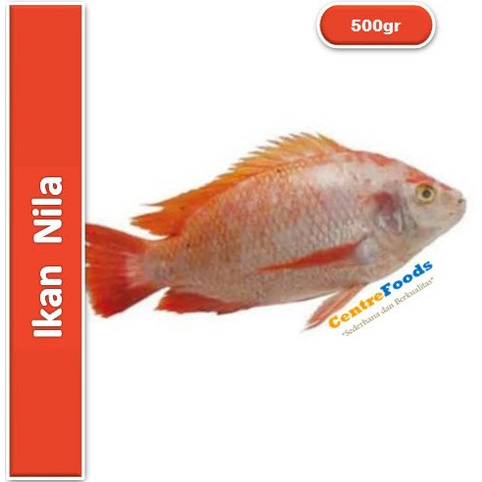 

Ikan Nila - Nila Merah Fresh | 500gr [ Harga Per 0,5 Kg ]