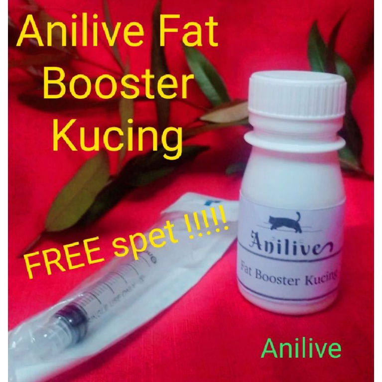 Anilive Fat booster penggemuk kucing kucing gemuk obat penggemuk kucing