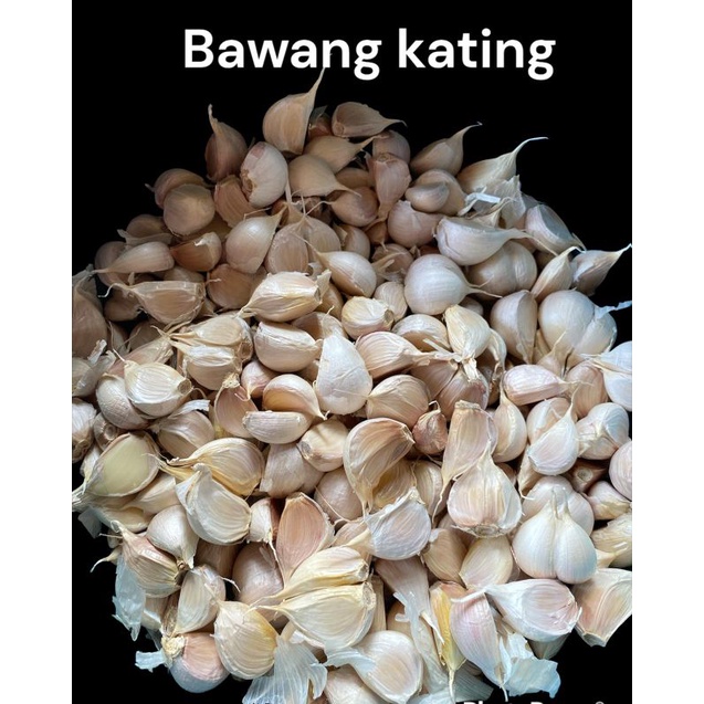 

Bawang Putih Kating