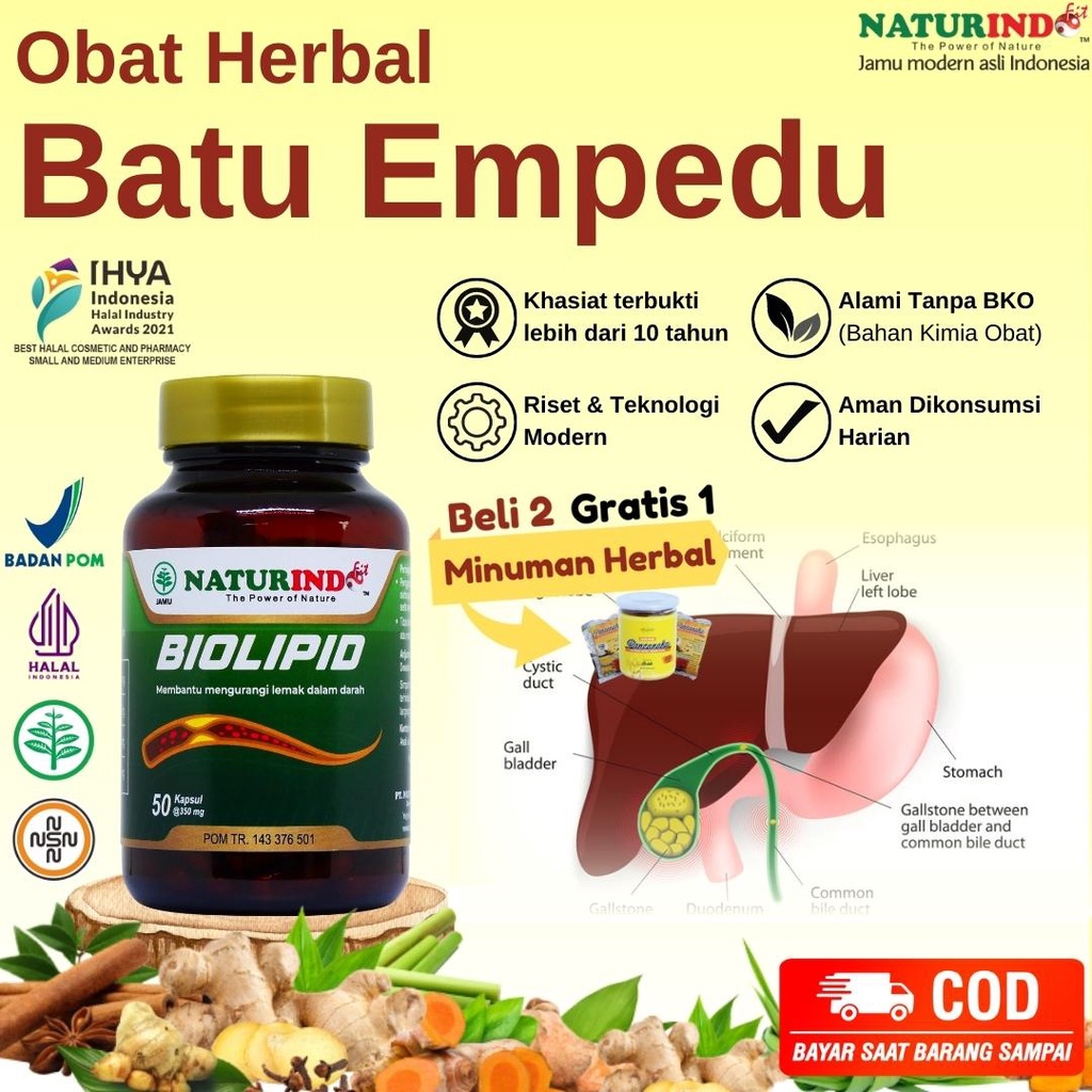Obat Herbal Batu Empedu Penghancur Batu Empedu Tanpa operasi Ampuh Biolipid
