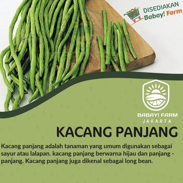 

Kacang Panjang 250 500 gr / 1 kg