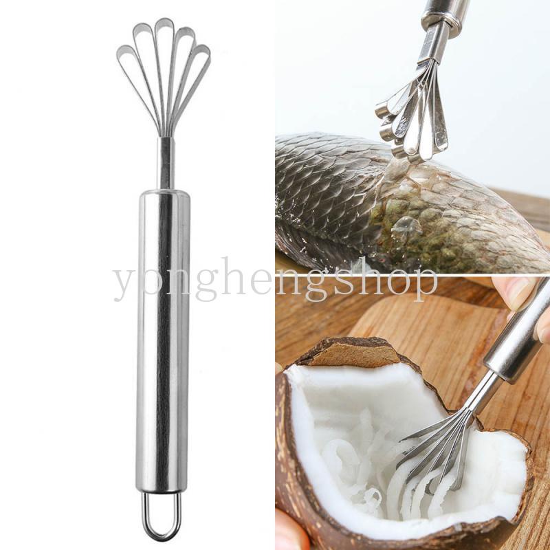 Parutan Kelapa / Kentang / Sisik Ikan Bahan Stainless Steel Untuk Perlengkapan Dapur