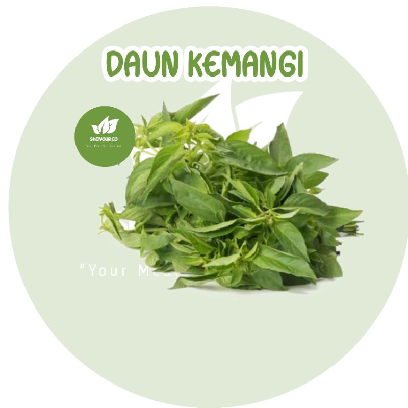 

Daun Kemangi Segar - Shayour.co Jogja