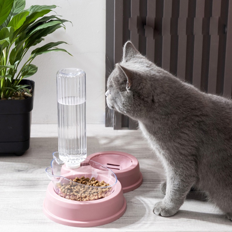 Dispenser Tempat Makan Kepala Beruang Minum Transparant Untuk Anjing Dan Kucing