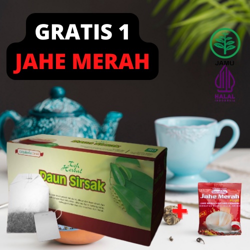 

Teh Celup Herbal Daun Sirsak untuk menjaga kesehatan dan turunkan kolesterol Minuman Obat Kanker Teh Daun Sirsak isi 20 Kantong Original