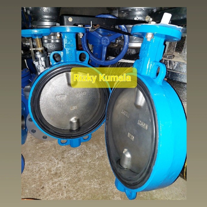 Terlaris Butterfly Valve 10" Inch Cast Iron Dn 250