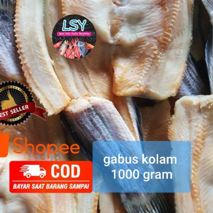 

✵ ikan asin gabus kolam size besar 1kg ➴