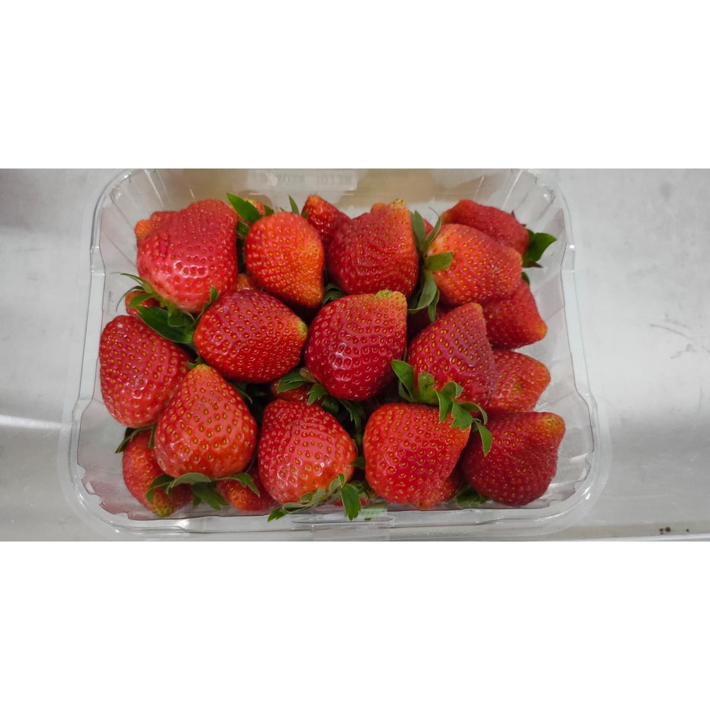 

Strawberry Coca Lokal Grade A