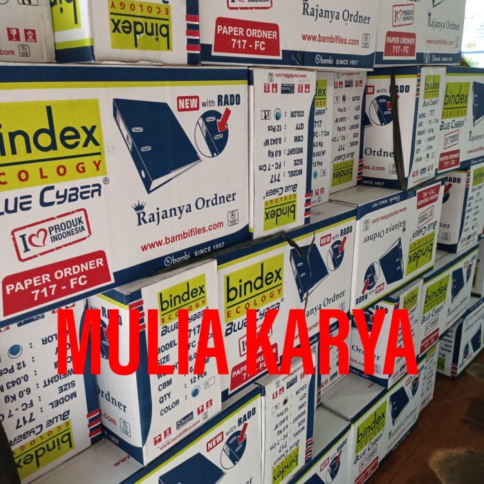 

Ordner Bindex 717 Folio / Lusin