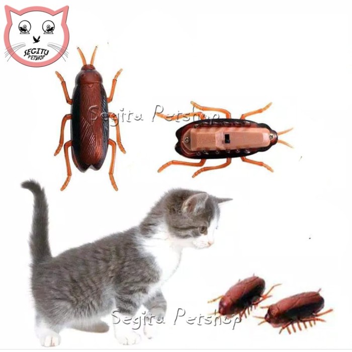 Mainan Mainan Kucing Anjing Kecoa Getar Bergerak