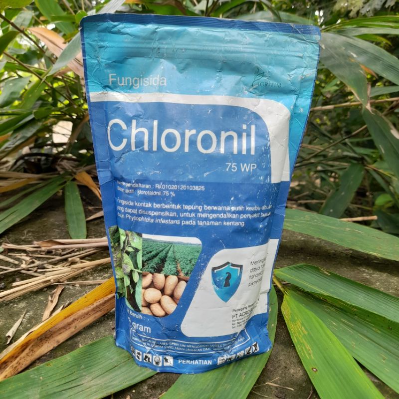 FUNGISIDA CHLORONIL 75WP 500gr bahan aktif : Klorotalonil 75%