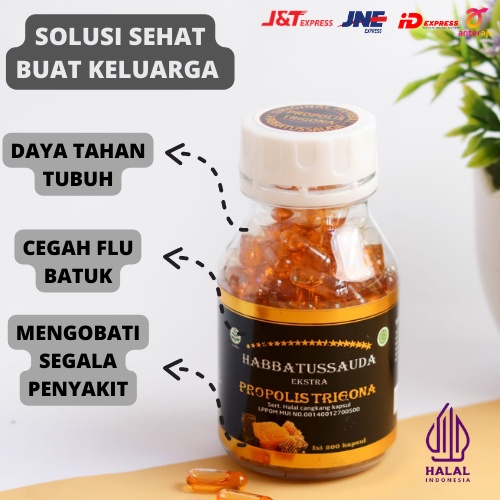 TRIGONA Obat Asam Lambung ,Kolesteror ,Asam Urat .Stroke Habbatussauda Trigona ISI 200 Kapsul  DAYA TAHAN TUBUH ORIGINAL 100% HERBAL