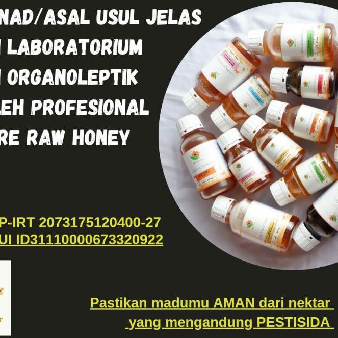 

✴ 650gr Raw Honey Bee Nectar ➺