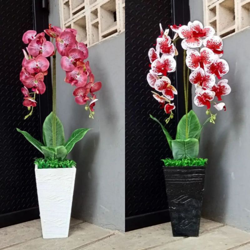 POHON ANGGREK LATEKS PREMIUM DENGAN POT KAYU HEXAGONAL {POT BESAR}