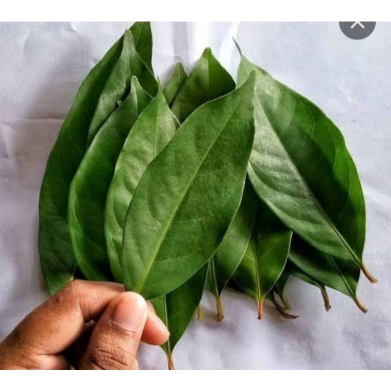 

Herbal daun salam 50g