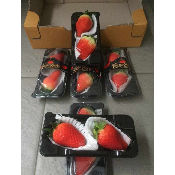 

Strawberry King Berry Per 1 Pack (2 Pcs)