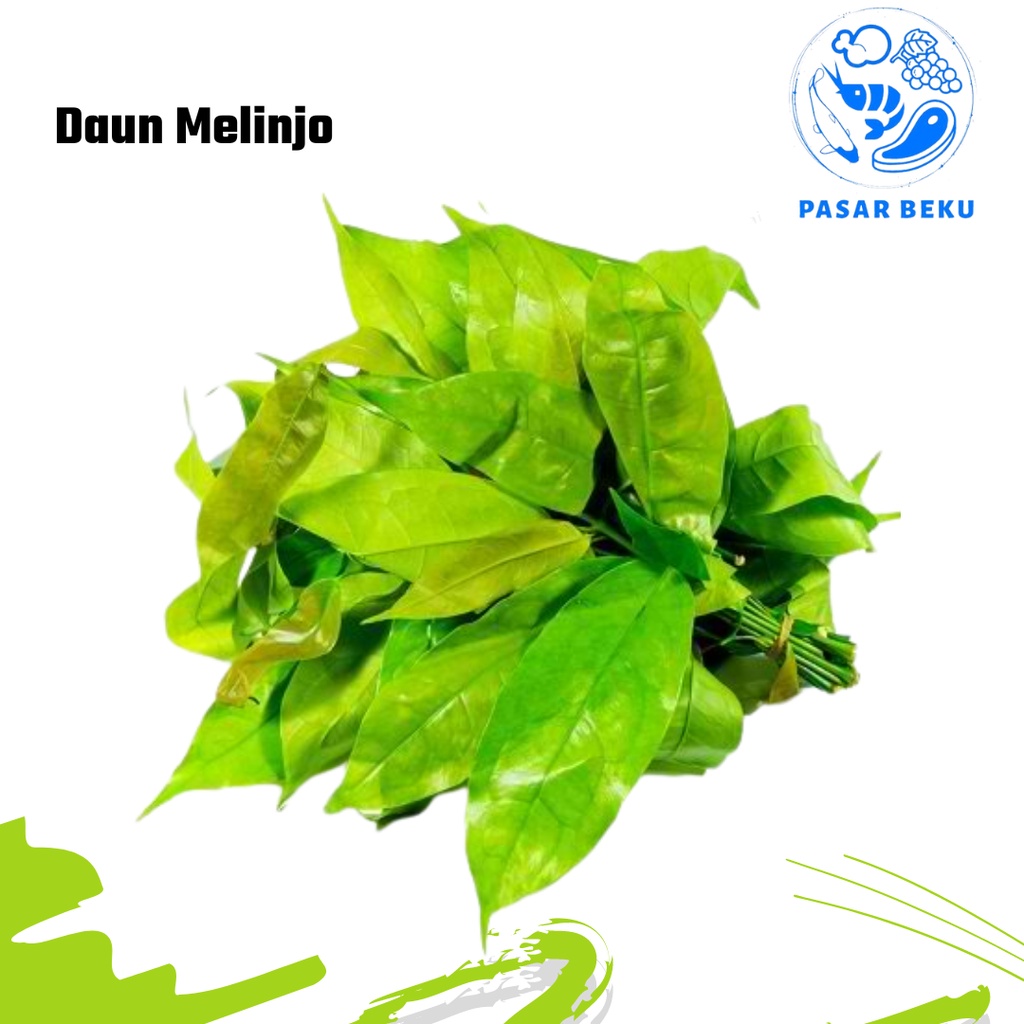 

Daun Melinjo Segar Berkualias Per-Bungkus Pasar Beku Padang