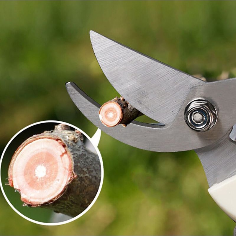 Gunting Dahan Ranting Pruning