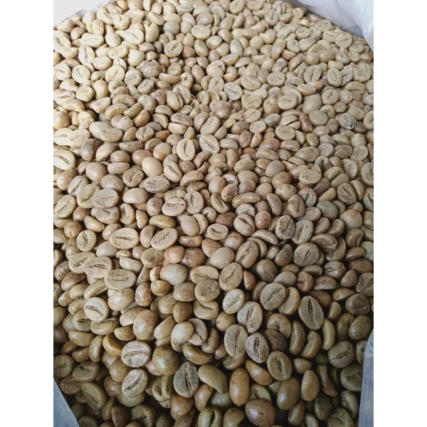 

biji kopi aghisna