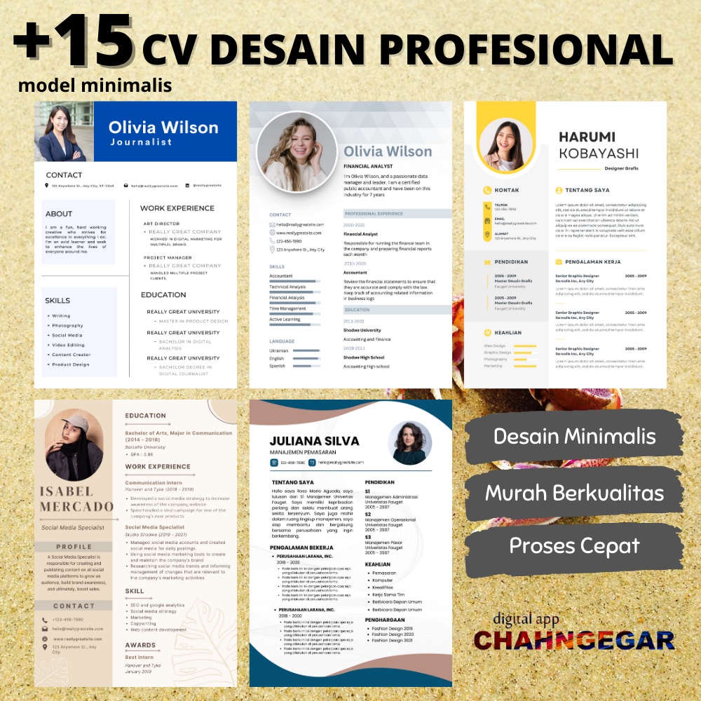 Jasa Desain CV Profesional Model Minimalis Modern