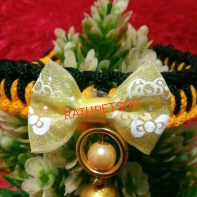 KALUNG ANYAM UNTUK KUCING KESAYANGAN