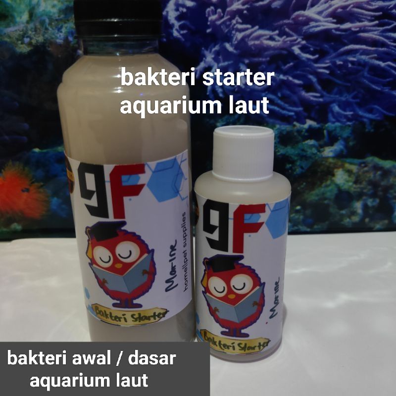 bakteri starter air laut aquarium laut 100 ml