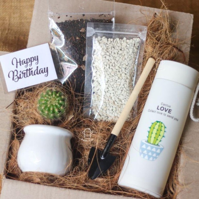 

Paket Kado Kaktus Gift Planting Kit Hampers Ultah Unik Lebaran / Natal