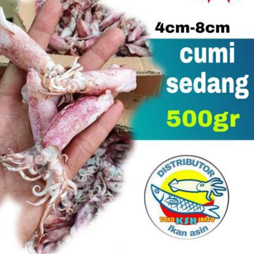 

✹ Ikan asin cumi-500gram ✻