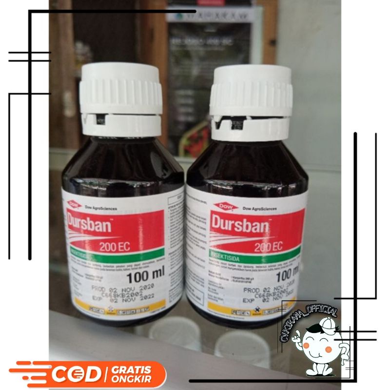 Obat hama putih daun tanaman DURSBAN 200 EC insektisida cair 100 ML