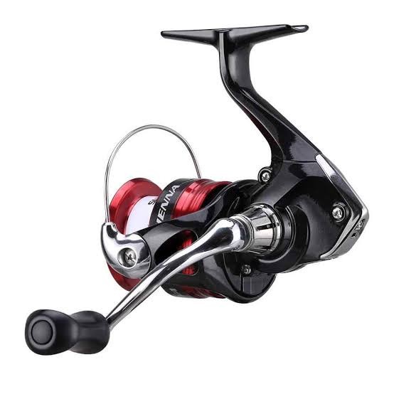 Reel SHIMANO 2019 SIENNA FG 2500HG