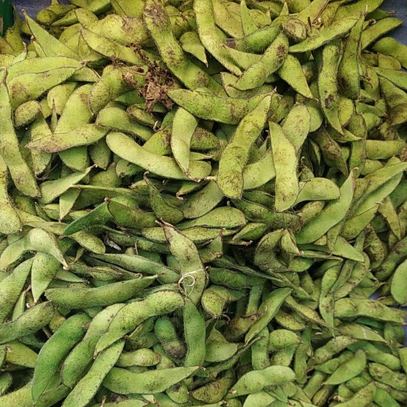 

EDAMAME KEDELAI JEPANG SEGAR 1KG DENPASAR BALI