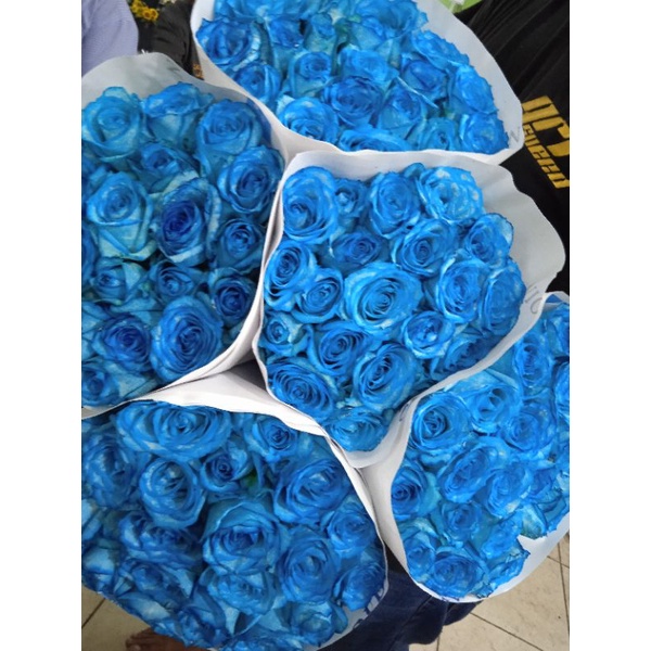 bunga mawar biru 20 tangkai Rose blue bunga potong