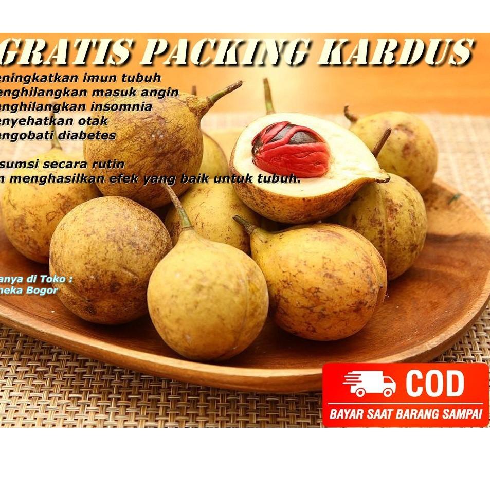 

PALING AMPUH✌️>>> Buah Pala Mentah 1 kg/buah pala termurah/rempah rempah