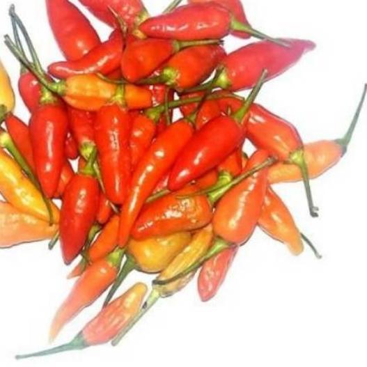 

☞ Cabe / cabai rawit merah - 500gram ♫